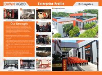 DAWN AGRO Meilleur Prix Moulin à Riz Automatique Mini Usine de Riziculture pour Usage Domestique Équipement de Traitement du Riz Électrique 3HP