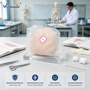 Modèle <span class=keywords><strong>de</strong></span> <span class=keywords><strong>sein</strong></span> féminin en silicone grandeur nature avec base pour la formation des consultants en lactation CE ISO ROHS CNAS - Product Image 1