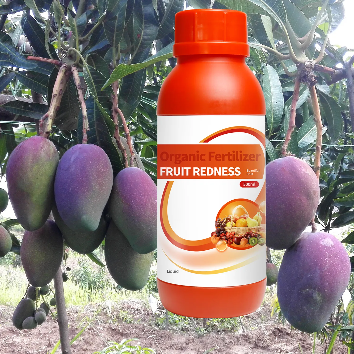 China Bio Organische Vloeibare Water Oplosbare Fruitboom Meststof Voor Mango Sinaasappel Kiwi Cacao Longan Aardbei Guave Fruitboom