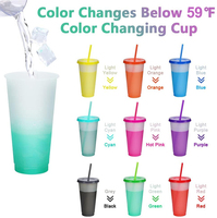 Gobelets en plastique écologiques personnalisables de 24 oz, réutilisables, modernes, pour fêtes, à changement de couleur à l'eau froide, avec couvercle et paille