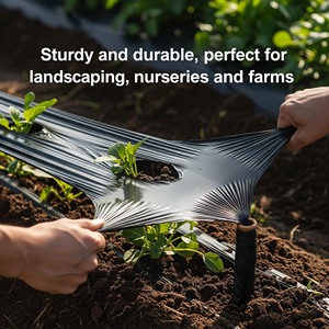 Film per Pacciamatura Agricola in Plastica Nera 20 Micron, Controllo Erbacce, Copertura del Terreno in PE - Product Image 2