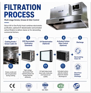 Hotte <span class=keywords><strong>de</strong></span> purification commerciale à conduit court pour cuisine avec filtre à <span class=keywords><strong>fumée</strong></span> ESP et système <span class=keywords><strong>de</strong></span> ventilation – <span class=keywords><strong>Extracteur</strong></span> intelligent - Product Image 5