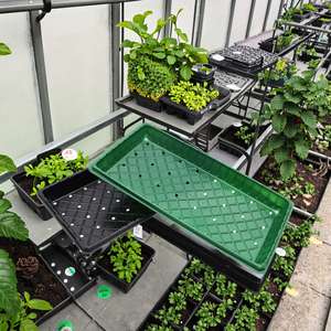 Petit plateau de culture de graines en plastique PET <span class=keywords><strong>noir</strong></span> pour plantes potagères pour jardin, fleurs, semis, stockage, pépinière, plateaux plats - Product Image 1