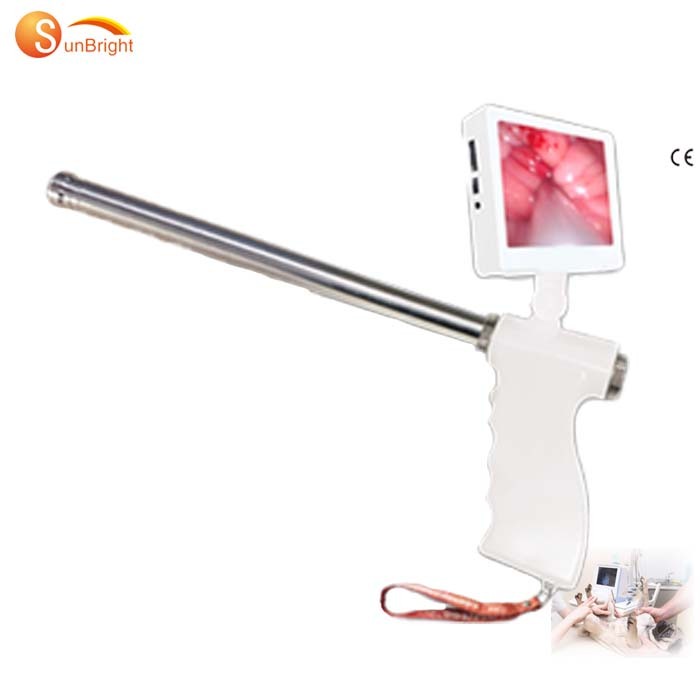 VET Animal Semen Thawing Thermostat Defrost