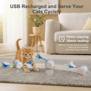Pet malzemeleri akıllı kedi oyuncak Pet otomatik hareketli engel kaçınma oyuncak tüy ile kediler için interaktif kedi Robot oyuncak eğitim - Product Image 4