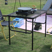 Table de camping pliable en aluminium avec plateau en maille, portable pour les repas en plein air et les pique-niques, design moderne, mobilier d'extérieur