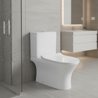 Cuvette de toilette en deux parties à double chasse d'eau de conception industrielle Siphonic Super Jet Washdown Hotels Options allongées P-Trap S-Trap à bas prix