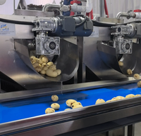 Productielijn voor aardappelchips met lage investering en hoge opbrengst, inclusief verpakkings- en friteuse-installatie