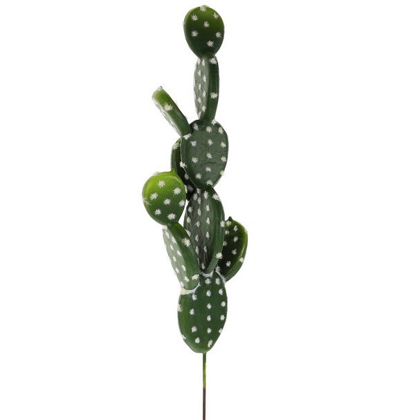 Éventail rond cactus 45cm