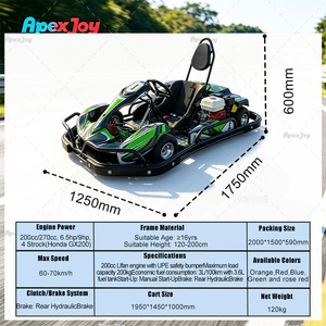 ApexJoy RACE GT Classic, Go Kart de Gasolina de 270cc, 9HP para Adultos, Kart de Carreras de Alquiler, Modelo Popular, Personalización al por Mayor - Product Image 3