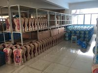 Brazo de Entrenamiento Multifuncional Avanzado para la Presión Arterial, para Enseñanza Médica