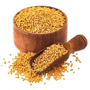 Semillas de Mostaza Amarilla Premium para Procesamiento de Alimentos, Semillas de Mostaza Amarilla Sarson Enteras al por Mayor - Product Image 1