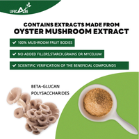 Lifecare Capsules d'extrait de champignon d'huître 10:1 Extrait de champignon d'huître