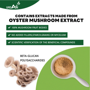Lifecare <span class=keywords><strong>Oyster</strong></span> nấm Mushroom extract viên nang 10:1 <span class=keywords><strong>Oyster</strong></span> nấm Mushroom extract - Product Image 5