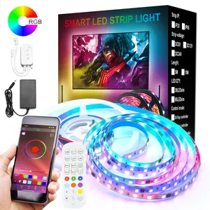 Kit pencahayaan suasana lampu tali Led 24V aplikasi sinkronisasi musik pintar Flex pencahayaan dekoratif kendali jarak jauh 12V SMD 5050 RGB Strip Led