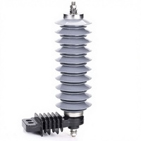 Parafoudre en caoutchouc silicone polymère Pomanique YH10W 11kV 10kA sans interstices, gris, à prix réduit