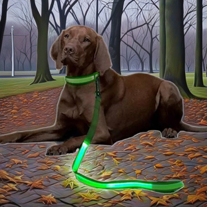 Collar para mascotas perro iluminación LED luminosa carga impresión personalizada diseñador alta gama al por mayor hecho en China <span class=keywords><strong>material</strong></span> de nailon - Product Image 4