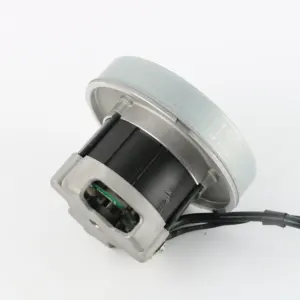 12V Motor für bürstenlosen Staubsauger für tragbaren Staubsauger