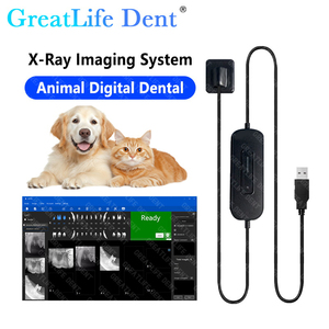 Máquina Portátil de Radiografía Dental Veterinaria Greatlife <span class=keywords><strong>Dent</strong></span>, Sensor de Rayos X Orales, Sistema de Imágenes Digitales para Radiografía Dental, Sensor <span class=keywords><strong>DR</strong></span> - Product Image 1
