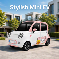 Недорогие новые электромобили (EV) для взрослых: 2-дверный, 4-местный мини-электрокар с кондиционером, большим экраном и высокой мощностью