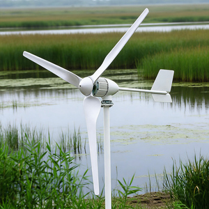 Éolienne horizontale 1kW, prix direct usine, offre en gros à prix compétitif - Product Image 1