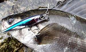 Señuelo de Pesca Artificial de 12 Colores, 110 mm, 50 g, Tipo Lápiz de Largo Alcance, con Dos Anzuelos Triples, Hundimiento Rápido, para Pesca en Agua Salada y Dulce - Product Image 2