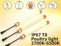 Éclairage LED T8 pour poulailler IP67 3ft 4ft 5ft 18W 24W 28W Suspendu Horizontalement 130lm/W Sans Scintillement