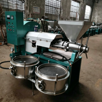 Presse à huile à vis 200-350 kg/h pour arachides, noisettes, noix de coco, sésame, soja, avocat, tournesol – Machine de pressage d'huile