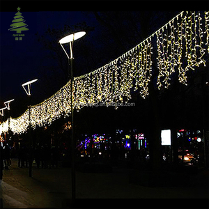 Tùy chỉnh ấm trắng Festoon LED lcicle đèn Land scape trang trí ấm trắng Festoon LED Đèn cho đám cưới - Product Image 1