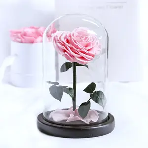 High Technology and Good Price Pink Forever Preserved Flower In Heart Shape In Clear Glass Dome