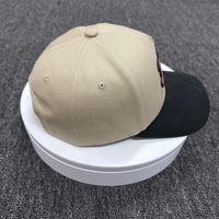 Gorra Personalizada con Logotipo, Gorra de Golf Panther A-Frame, Gorras de Dos Tonos, Gorra Trucker Vintage de Malla para Hombre, Gorras con Parche de PVC, Gorras Deportivas de Béisbol