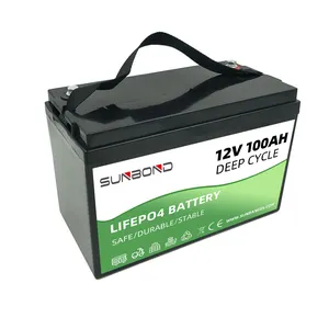 Batterie Lithium-ion LiFePO4, 12 V, 12.8/24/48V, 12/12/20/100/200ah, pour panneaux solaires, Lithium-ion, avec cellules lfp
