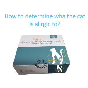Allergietest: 46 inhalatie-allergenen Testkit voor feline allergene-specifieke IgE-antilichamen (Proteïne Microarray) - Product Image 4