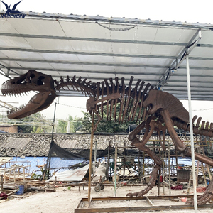 Réplica <span class=keywords><strong>de</strong></span> Fósil <span class=keywords><strong>de</strong></span> <span class=keywords><strong>Dinosaurio</strong></span> <span class=keywords><strong>T</strong></span> <span class=keywords><strong>Rex</strong></span> <span class=keywords><strong>de</strong></span> Fibra <span class=keywords><strong>de</strong></span> Vidrio <span class=keywords><strong>de</strong></span> Tamaño Real, Hecha a Medida, para Decoración <span class=keywords><strong>de</strong></span> Centros Comerciales y Museos - Product Image 3