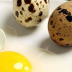 <span class=keywords><strong>Huevos</strong></span> de codorniz frescos de calidad superior a granel, <span class=keywords><strong>precio</strong></span> barato, proveedor al por mayor para uso alimentario - Product Image 2