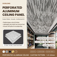 Panneaux de plafond en aluminium perforé décoratifs et artistiques personnalisés avec éclairage LED