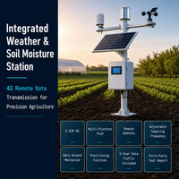 Station intégrée de surveillance météorologique et d'humidité du sol, système de surveillance météorologique agricole, transmission de données à distance 4G