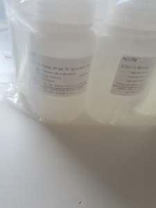 Antígeno para Prueba de Aglutinación de Salmonella Abortus Equina para el <span class=keywords><strong>Diagnóstico</strong></span> Rápido de Aborto Infeccioso Equino - Product Image 4