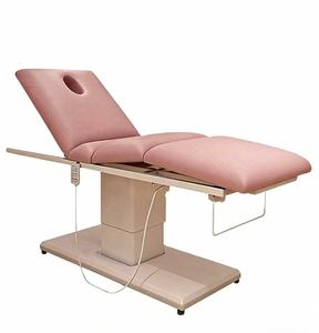 Electric Beauty Bed with Lifting Folding Tattoo Embroidery Micro Plastic Therapy Bed Beauty Salon Specific Massage Bed - Product Image 1