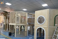 Équipement de terrain de jeu intérieur sur le thème de la forêt personnalisé, maison dans les arbres en bois, piscine à balles avec toboggan, aire de jeux souple pour enfants, parc d'attractions