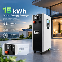 Système de stockage vertical de batterie LiFePO4 51,2 V 300 Ah 15 kWh, ESS au lithium sur pied avec BMS intelligent avancé