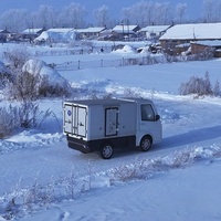 Camionnette électrique mini logistique LHD/RHD à usage domestique avec EEC longue portée pour la livraison du dernier kilomètre