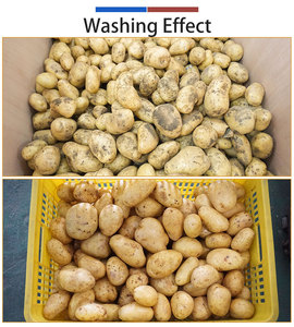 Ligne de traitement industrielle personnalisée pour pommes de terre, <span class=keywords><strong>machine</strong></span> de lavage et de nettoyage des pommes de terre boueuses - Product Image 5