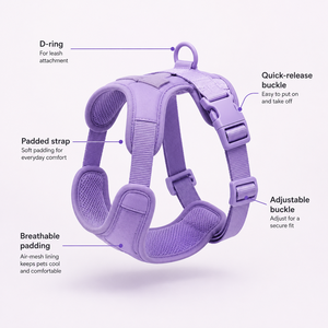 Arnés para Perro Antitirones, Impermeable, Transpirable y Ajustable, con Correa - Product Image 2