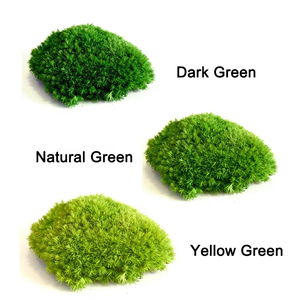 Fábrica al por mayor de <span class=keywords><strong>musgo</strong></span> de Interior de alta calidad conservado <span class=keywords><strong>musgo</strong></span> vivo seco pelo blanco <span class=keywords><strong>español</strong></span> <span class=keywords><strong>musgo</strong></span> de poste eterno para decoración de pared de la casa - Product Image 3