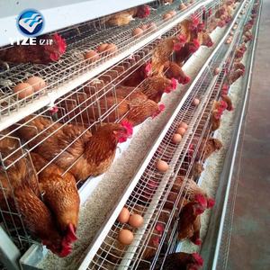 Cages à poulets et à canards fabriquées en Chine comme équipement agricole / <span class=keywords><strong>Cage</strong></span> d'élevage de poulets galvanisée ou revêtue de PVC pour ferme Fabriquée en Chine - Product Image 5