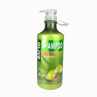 Shampoo à l'Aloe Vera et à l'Ail Arabe 2L FR8535 Type de Cheveux Universel Guangdong Shantou Rafraîchissant Contrôle du Sébum
