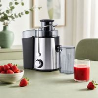 Presse-agrumes Premium en Acier Inoxydable 500ML pour la Maison - Offre Spéciale
