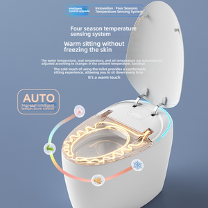 Toilettes intelligentes de luxe entièrement automatiques, design de cuvette de toilettes en céramique, toilettes intelligentes à poser au sol avec télécommande - Product Image 6