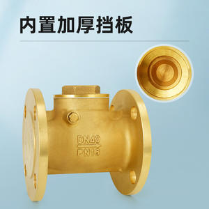 Válvula de Retención de Brida de Latón DN40 H44W-16Tdn100, Accesorios de Válvula de Retención Horizontal Específica para Ingeniería Neumática - Product Image 5